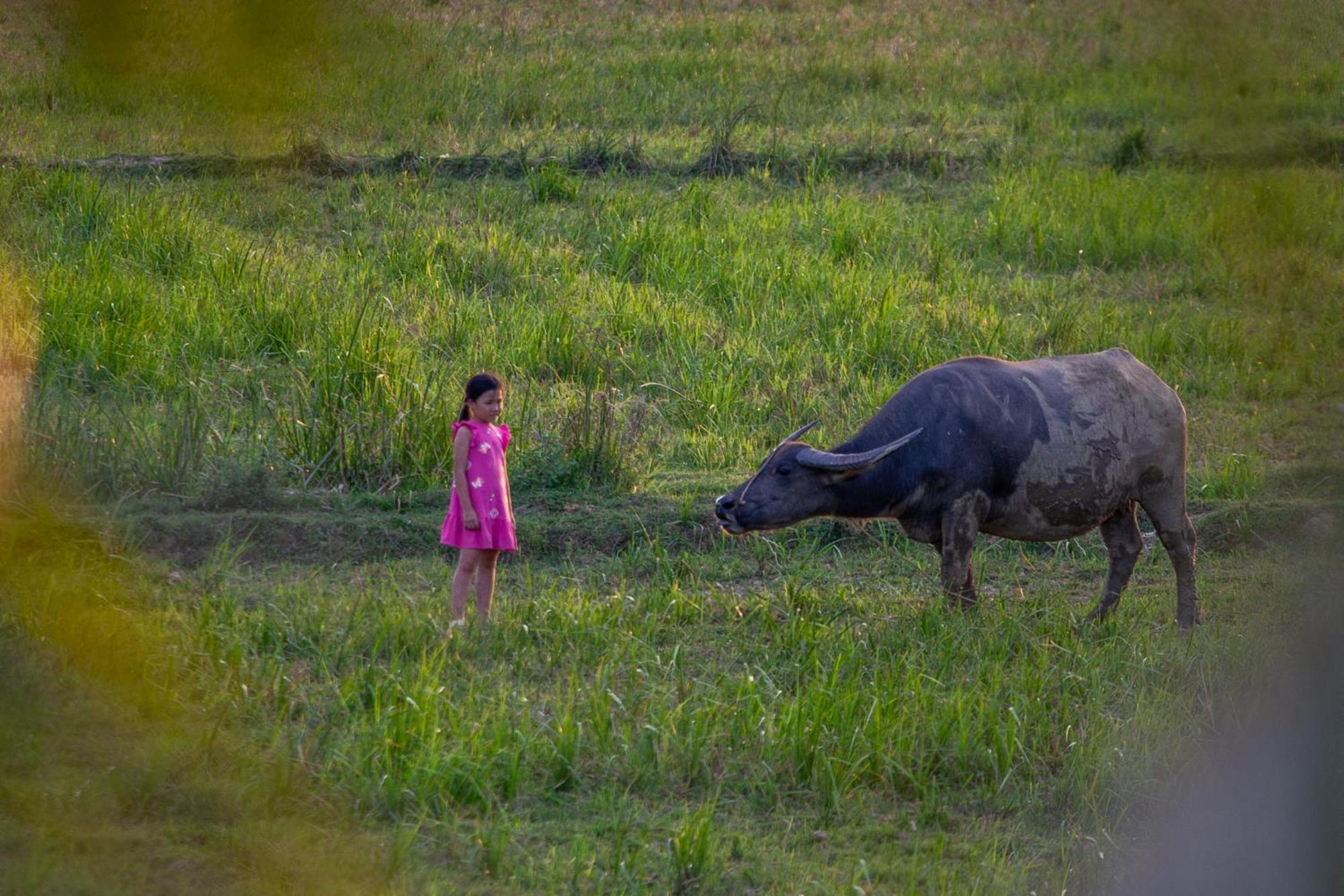Phong Nha Farmstay Extérieur photo